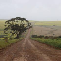 ...und biege auf eine Abkürzung durch die Felder ab