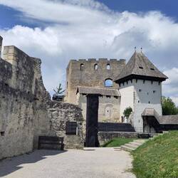 Auf der Burg Celje