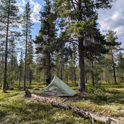 Zeltplatz, geschützt im Wald