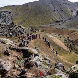 Die Karawane geht ihren Weg 🫣