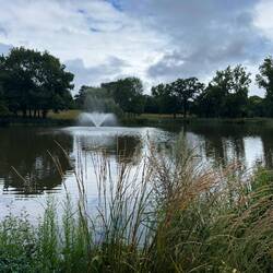 One of two lakes on campus