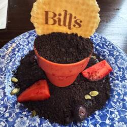 Bill's flower pot cheese cake and chocolate and strawberries