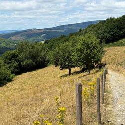 I wished I had my horn here to play the 1st 4 notes of the Little House OTP theme song.