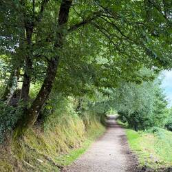 Early afternoon trail