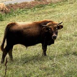 But aren't they sweet!