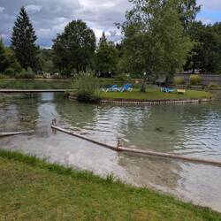 Schwimmteich