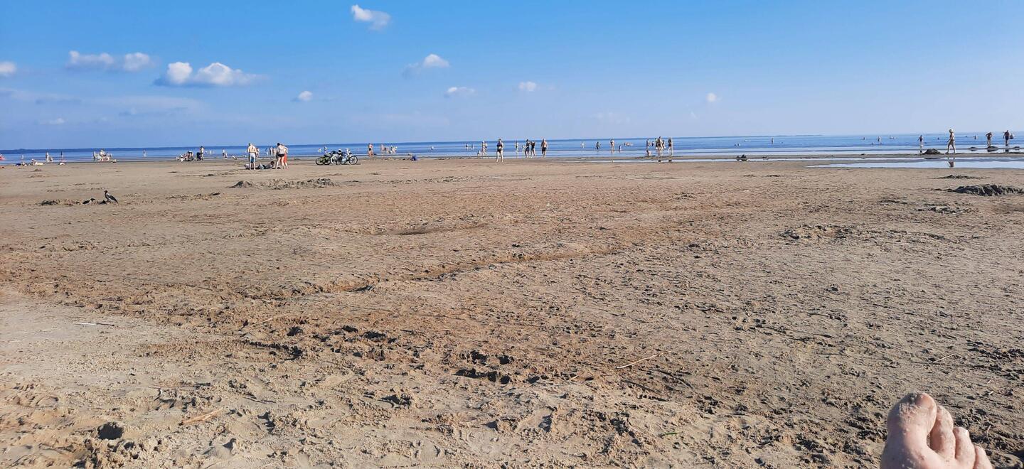 Sand soweit das Auge blickt.