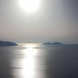 Leider gegen die Sonne