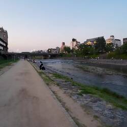 River hangout + frog concert 🐸