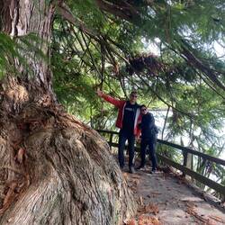 ...allerdings mit tollen Pflanzen...