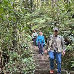 ...und plötzlich sind wir mitten im Dschungel!