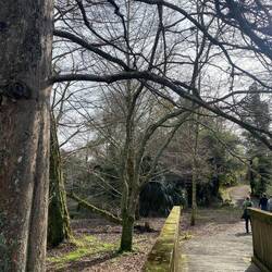 Und plötzlich wieder deutscher Winter-Park...naja, mit Palmen.