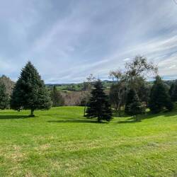 ...dann kommen plötzlich große Grünflächen, auf denen man grillen und spielen kann...