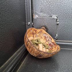 Dish of treats to feed the animals