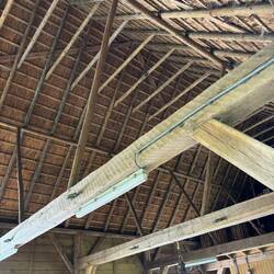 Inside the animal barn