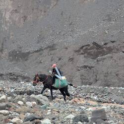 Unsere Pferd-Querung lief besser 😅