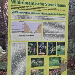 Etwas übertrieben mit der Wildromantik 😅