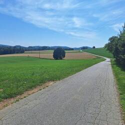 Symbolbild für den Tag