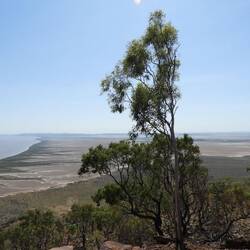 Ord River joining Cambridge Gulf (dark green strip on right)