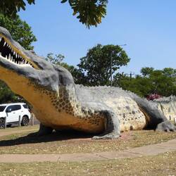 Big crocodile