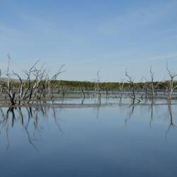 Lake Kununurra