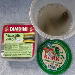 ... die haben mehr Dill ... "Peipsi" = vom Peipussee
