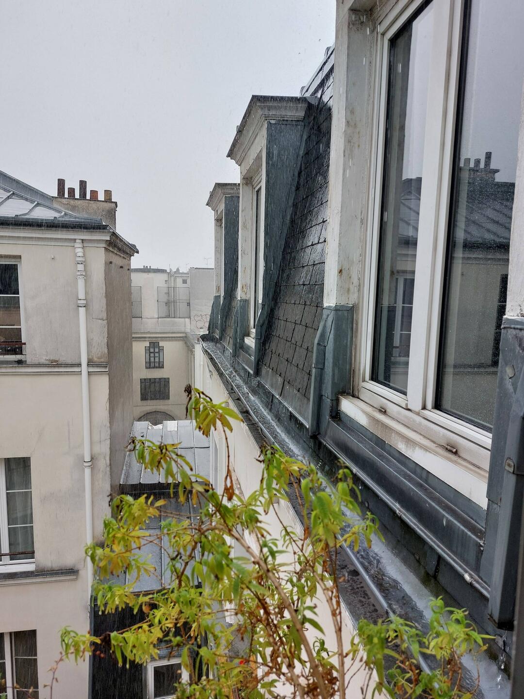 Regen, Regen, Regen ...
