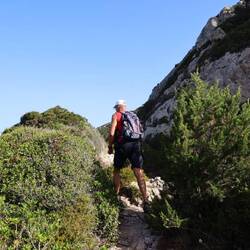 Der Weg durchs Gestrüpp