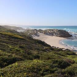 Der Weg im De Hoop führt lange und anstrengend an der Küste entlang...