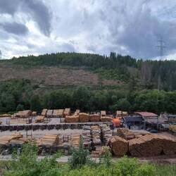 Hier sieht es aus wie im Harz