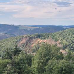 und Galloway-Rindern vor der Tüt