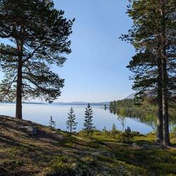 Heute Morgen am See