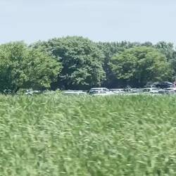 Rosanne took this video of the Goodyear Blimp tethered to it's docking pole.