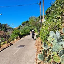 Schöne, sichere Fahrrad Wege