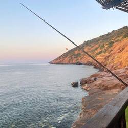 If a pic is good, you know allegra took it