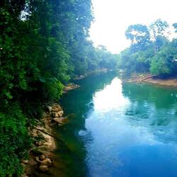 Semuc Champey.