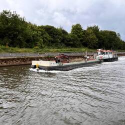 WSV Saarburg sammelt Treibgut