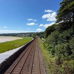 View of the train tracks from one of our many walks the past week