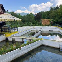 Forelloteiche vom Mühlengraben gespeist