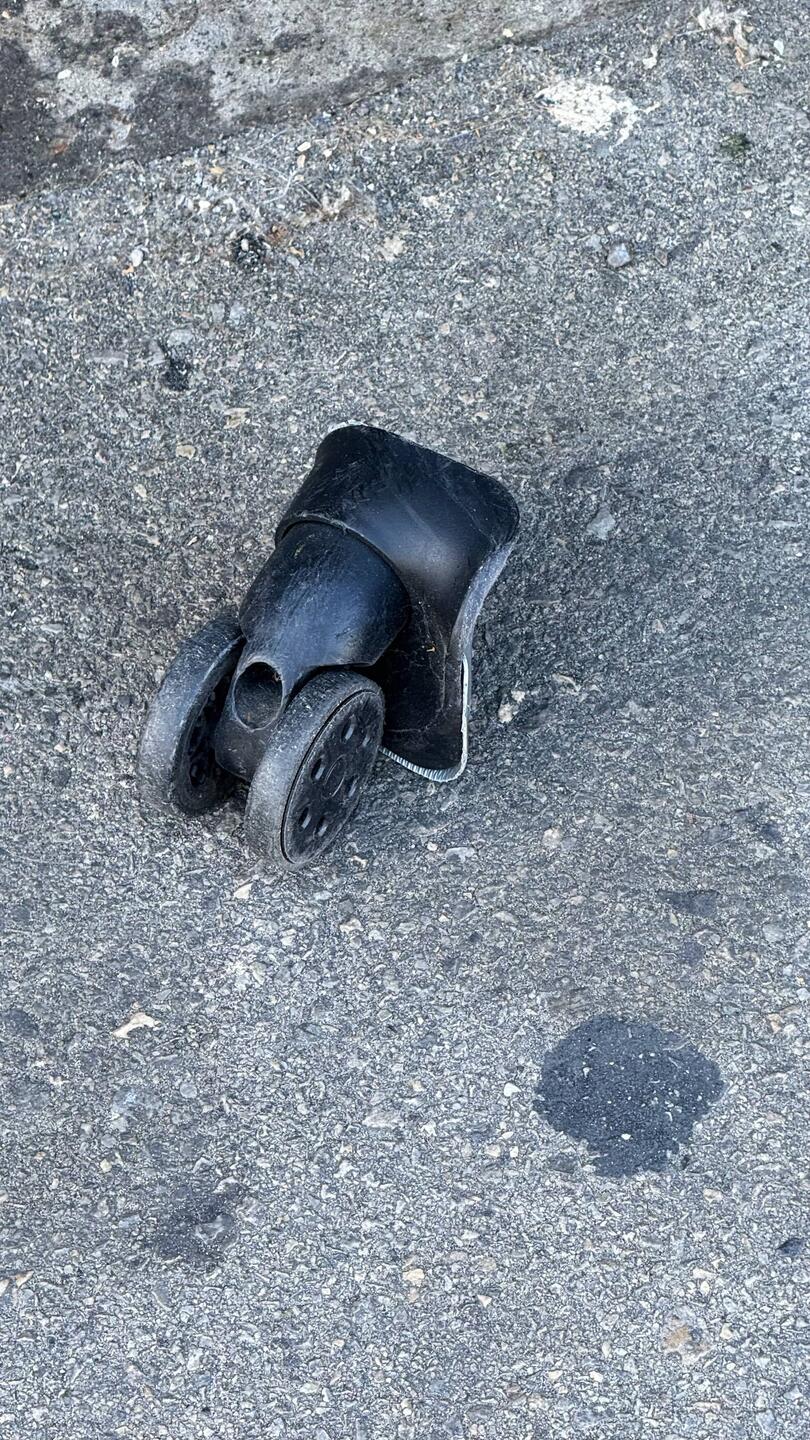 La pata de la renguita de Kari