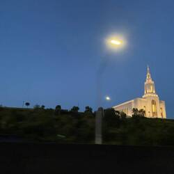 Zurück in Auckland gehen wir heute griechisch essen, nicht "typisch" sondern traditionell! Toll!