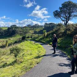 Die Küste liegt im Bereich der Cathedral Cove rund 40 m über dem Meeresspiegel...