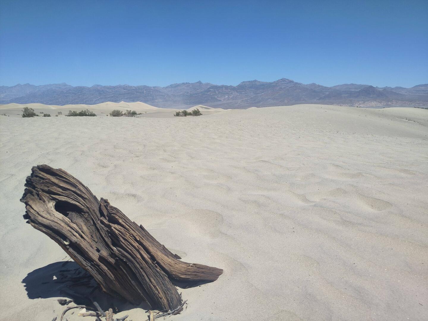 Mesquite Flat Sand Dunes