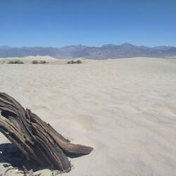 Mesquite Flat Sand Dunes