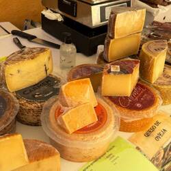Queso de oveja – Mallorca zum Anbeißen!