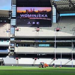 MCG vom Platz