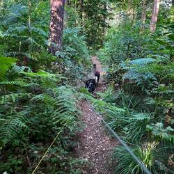 Morning explorations