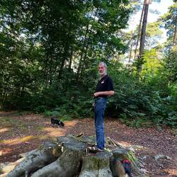 The largest tree we could find