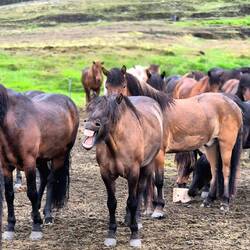 Boah, macht das Wetter müde...