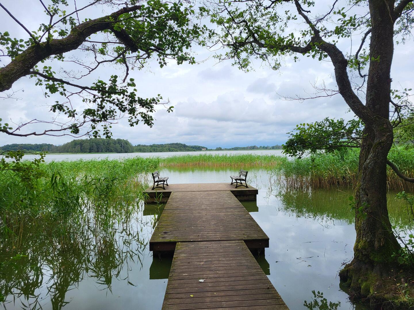 Picknickstelle auf dem Kalotės-See